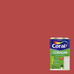 imagem do produto acessado