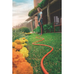 imagem do produto acessado