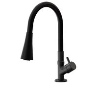 Torneira de Cozinha de Mesa Flex 1166 BK99 - Fani