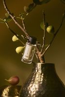 Eau de Parfum 009 Figorativo 50ml