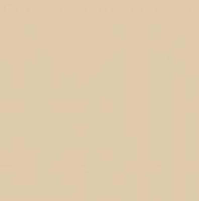 REVESTIMENTO BR10060 10X10 A, BRILHANTE, TECNOGRES