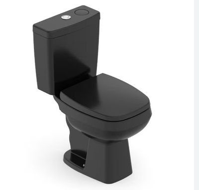 VASO SANITARIO CITY HARPIC PR C/ ASS, CX ACL ITENS INST, CELITE