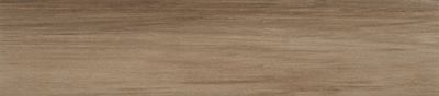 PORCELANATO SAVANA CANELA 19X90 A, MATE, ELIANE