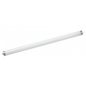 Lâmpada Fluor T8 18W - Taschibra