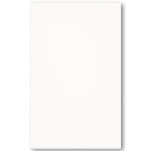 Revestimento 33x59 Bianco Retificado- Formigres