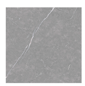 Porcelanato Delta Nova 120x120 Venato Grigio Acetinado