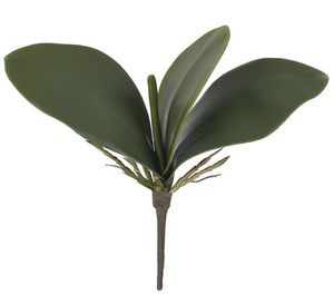 Folhagem Orquídea com Arame X4 22cm Verde Folhagem Orquídea com Arame X4 22cm Verde