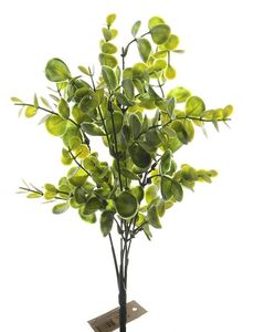 Pick Eucalipto X5 35cm Verde
