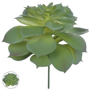 Suculenta 11cm Verde 42735002 Suculenta 11cm Verde 42735002