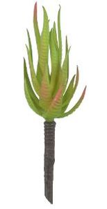 Suculenta Agave Verde Outono 20cm Suculenta Agave Verde Outono 20cm