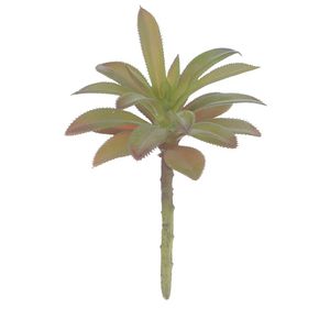 Suculenta PLT Púrpura Verde 17 cm Suculenta PLT Púrpura Verde 17 cm