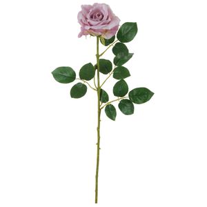Rosa Mauve 65cm
