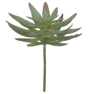 Suculenta Verde 12cm Suculenta Verde 12cm
