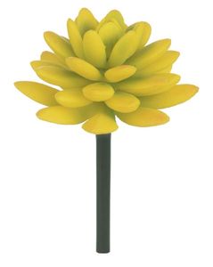 Suculenta Amarelo 13cm Suculenta Amarelo 13cm