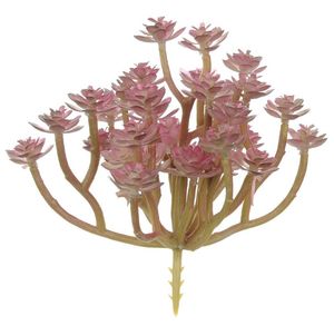Suculenta Echeveria Vermelho 12cm Suculenta Echeveria Vermelho 12cm