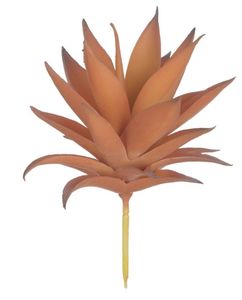 Suculenta Agave Laranja 15cm Suculenta Agave Laranja 15cm