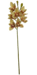 Orquídea Cymbidium Amarelo Claro 67cm