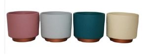 Cachepot Royal 12x12x10cm Cores Sortidas