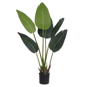 Árvore Bananeira de Jardim com Pote 90cm Verde
