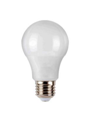 Lâmpada Led Bulbo 12w 6500k