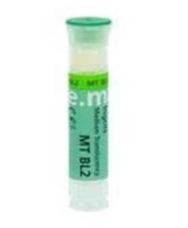 PASTILHA IPS EMAX PRESS MT BL2 3G (5PCS) - IVOCLAR VIVADENT PASTILHA IPS EMAX PRESS MT BL2 3G (5PCS) - IVOCLAR VIVADENT