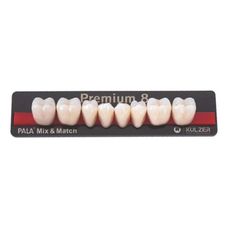 DENTE PREMIUM COR A1 POSTERIOR INFERIOR ML - KULZER