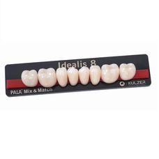 DENTE PREMIUM COR A3 IDEALIS INFERIOR 31L - KULZER DENTE PREMIUM COR A3 IDEALIS INFERIOR 31L - KULZER