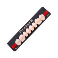 DENTE PREMIUM COR BL3 POSTERIOR SUPERIOR M - KULZER