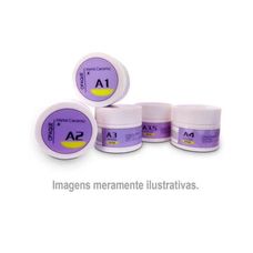 Ceramica Para Metal Opaco Pasta C3 5g - Baot