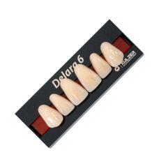 Dente Delara Cor C1 Anterior Superior S50 - Kulzer