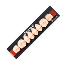 DENTE DELARA COR A4 POSTERIOR SUPERIOR 36U - KULZER