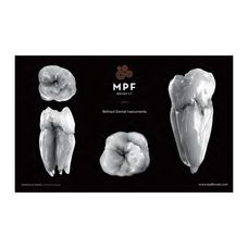 CERAMIC TABLE MAT - FORRO DE BANCADA - MPF