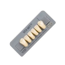 Dente Mft Cor A2 (2m2) Anterior Inferior L40 - Vita