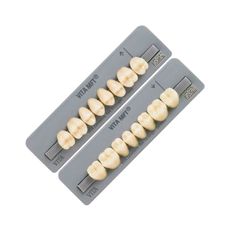 DENTE MFT COR BL3 (OM3) POSTERIOR INFERIOR PL31 - VITA DENTE MFT COR BL3 (OM3) POSTERIOR INFERIOR PL31 - VITA