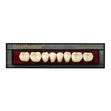 DENTE IVOSTAR GNATHOSTAR COR B1 INFERIOR D82 - IVOCLAR VIVADENT DENTE IVOSTAR GNATHOSTAR COR B1 INFERIOR D82 - IVOCLAR VIVADENT