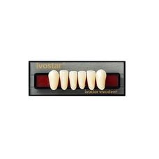 DENTE IVOSTAR COR B1 ANTERIOR INFERIOR 14 - IVOCLAR VIVADENT