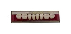 DENTE TRILUX COR 1C POSTERIOR INFERIOR M3 - VIPI
