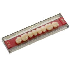 DENTE TRILUX COR 4A POSTERIOR SUPERIOR M6 - VIPI