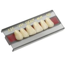 DENTE VIPI DENT PLUS COR 65 ANTERIOR SUPERIOR 38 - VIPI DENTE VIPI DENT PLUS COR 65 ANTERIOR SUPERIOR 38 - VIPI