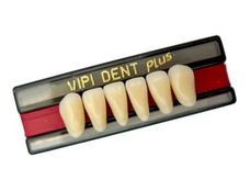 DENTE VIPI DENT PLUS COR 60 ANTERIOR INFERIOR 2D - VIPI