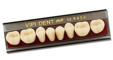 DENTE VIPI DENT PLUS COR 66 POSTERIOR INFERIOR 30L - VIPI DENTE VIPI DENT PLUS COR 66 POSTERIOR INFERIOR 30L - VIPI