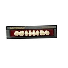 DENTE IVOSTAR GNATHOSTAR COR B2 SUPERIOR D80 - IVOCLAR VIVADENT DENTE IVOSTAR GNATHOSTAR COR B2 SUPERIOR D80 - IVOCLAR VIVADENT
