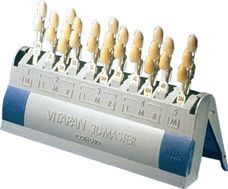 ESCALA DE COR DE DENTES VITA VITAPAN 3D MASTER - VITA