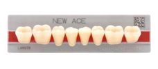 DENTE NEW ACE COR B2 POSTERIOR INFERIOR M34 - KOTA