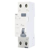 Dispositivo DR Diferencial Residual Bipolar 63A 30MA DIN 5SZ1316-0 IRIEL
