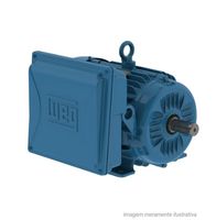 MOTOR 5CV 2P 1F 220/440V 112M 60HZ W22 IC411 TFVE WEG