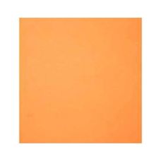 Folha de EVA 1,5mm 40x48cm Cenoura - Ibel