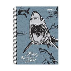 Caderno Espiral Universitário Capa Dura 8x1 160 Folhas Freedom Light São Domingos - Capas Sortidas
