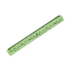 Regua 30cm Neon Verde 10270050