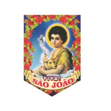 Banner São João - Festa Maluca